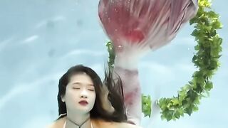 Amazing Beautiful Video