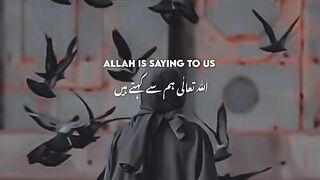 Allah hamay janat  naseeb karay plz subscribe.