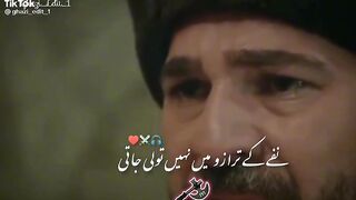 Artgrle video