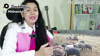Suwar ka gosht kyon haram hi mania is video main