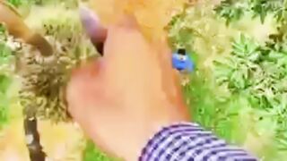 Super video amazing