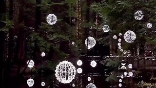 Nature Amazing video