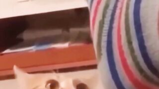 cute cat fight "" cute cat funny fight 2023