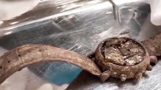 Restoration 1Billion $ Old Apple Watch????Don't Miss The End
