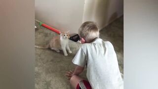 Funny cats video with baby ????