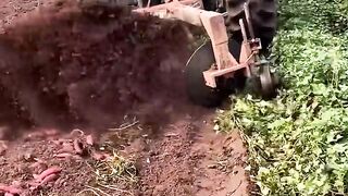 Modern Agriculture Machines That Are At Another Level ▶15