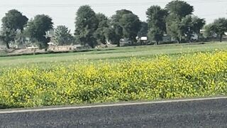 MubeenShah786#best short video#Follow me ga is #thank u