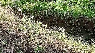 My village farming,my village work,