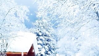 Beautiful view of snow
