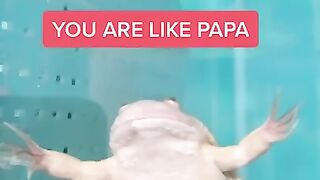 tiktoks that actually made me laugh