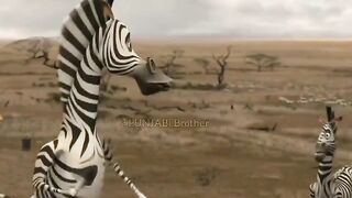 punjabi funny remix clip ????????????????????