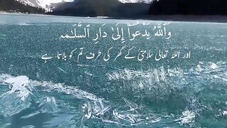 Quran in English