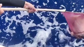 Ikan Dalam Jerigen Di laut Lepas