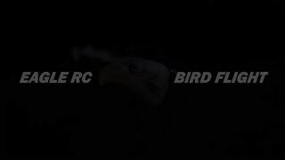 Amazon best products. Amazon best rc flying toys. Amazon best gadgets