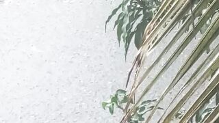 Raining nature view