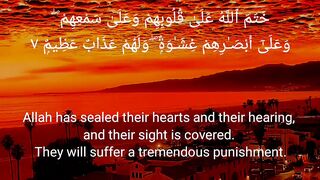 #islamicvideos_