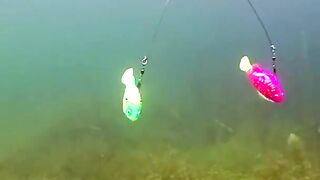 Hook fishing #shorts #fishing #new #Bangladesh