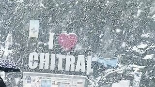 Beautiful nature of snow fall