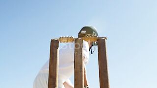 Cricket