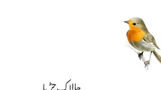 Urdu story|Urdu Moral story|short story