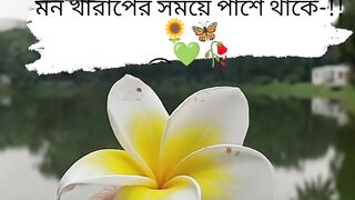 Flower Video