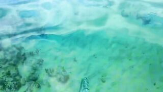 Clear sea water Beautiful view of sea nature full of colorful rocks.