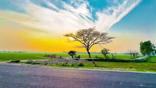 Nature