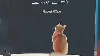 Allah is beautiful friends islami video subscribe now
