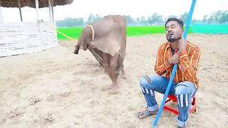 Funny Video