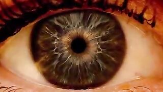 Diabetic Retinal Screening - Optique Roshni