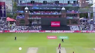 Biggest sixes 2019 World cop