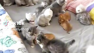 best video