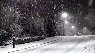 Snow ❄️????️
