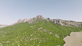 "Beyond Borders: A Nature Expedition Across Continents"