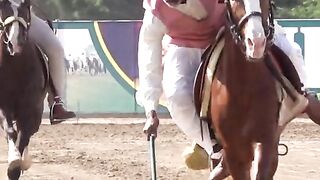 Horse Racing Game...Nega Bazi Tournament