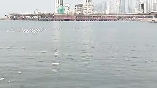 Mumbai Ture