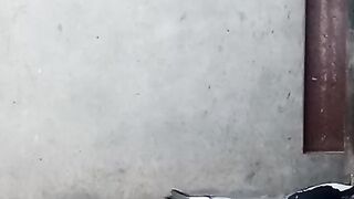 Beautiful birds