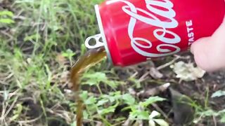 survival bushcraft skill