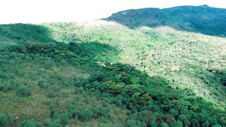 "Unveiling Earth's Splendor: A Journey Through Nature's Embrace"