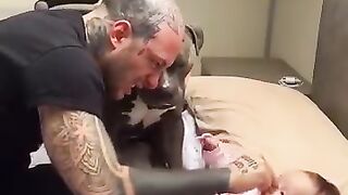 pitbull with his little owner