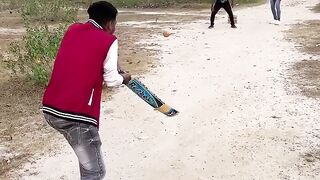 funny Cricket playing????????