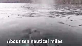 Tourist boat stress
