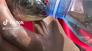 Ground fish