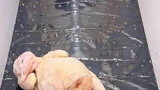 Funny video and clips.