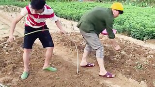 Funny video|| comedy video || ???????? entertainment video
