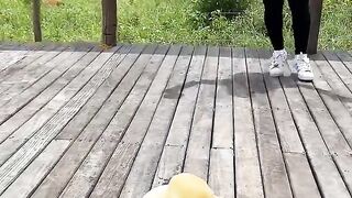 Growing elephant toothpaste.