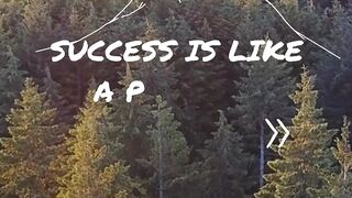 Success is like a puzzle... #Success fact