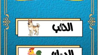 Embarrassing religious questions... Various very difficult religious answers. Religious questions... Religious questions about the prophets