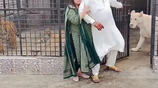 Best video in the world
