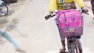 Funny video
